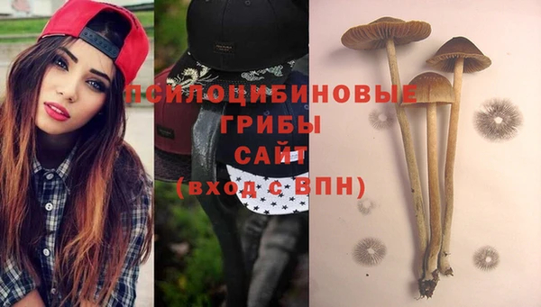 СК Абдулино